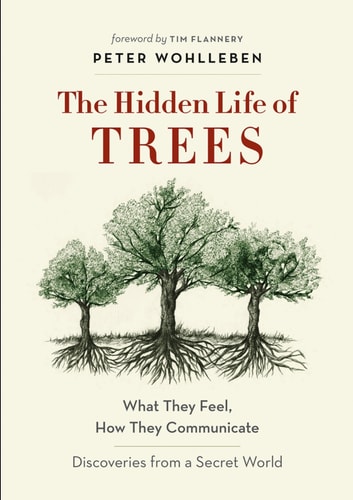 Cover of The Hidden Life of Trees What They Feel, How They Communicate - Discoveries from a Secret World